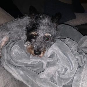 Meet your Posher, Krista